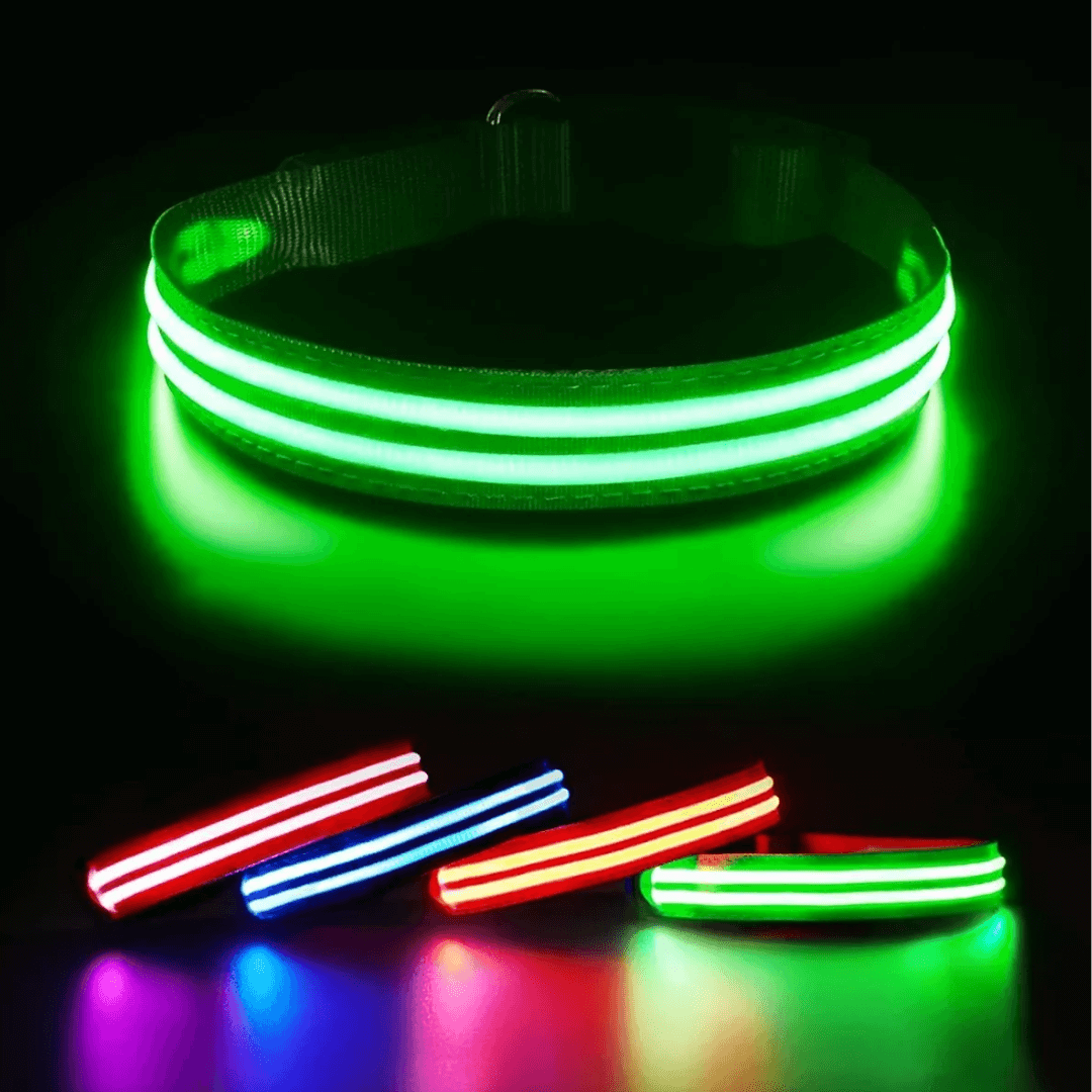 🐾Collar led para los peludos recargable🐾